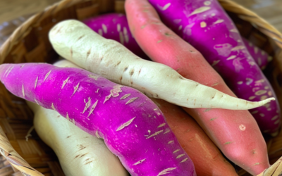 Sweet Potato Guide