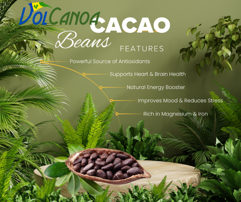 Cocoa Beans